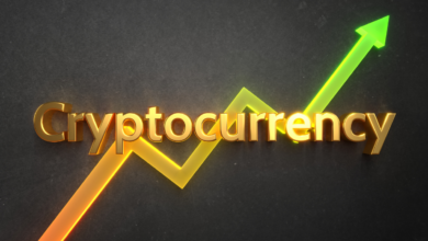 Top 10 Things You Must Know Before Investing in Cryptocurrency